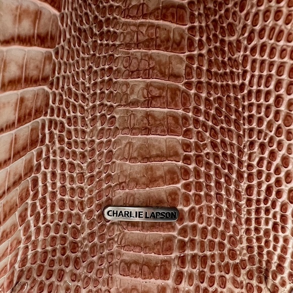 Charlie Lapson Handbag NWT Color RUST - Picture 4 of 8